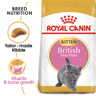 Royal Canin British Shorthair Kitten Dry Cat Food