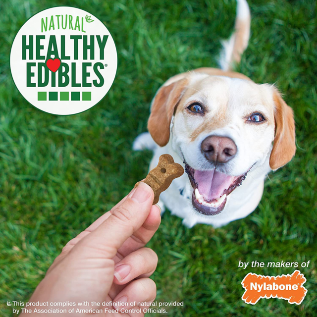 Nylabone Healthy Edibles Biscuits Peanut Butter & Apple Dog Treats - Product Image 7