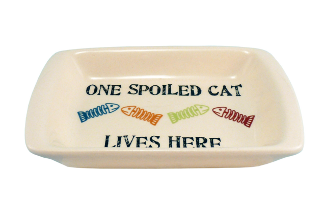 Petrageous One Spoiled Cat Saucer - Product Image