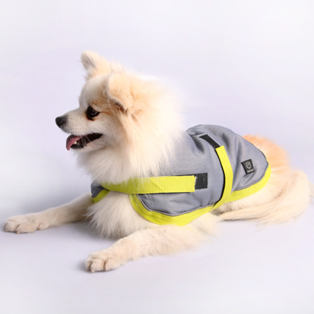 Pet One Night Walker Dog Coat - Product Image 3