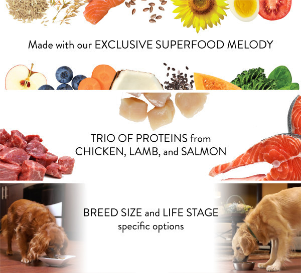 Nutro Ultra Adult All Breed Trio Protein Dry Dog Food - Product Image 4