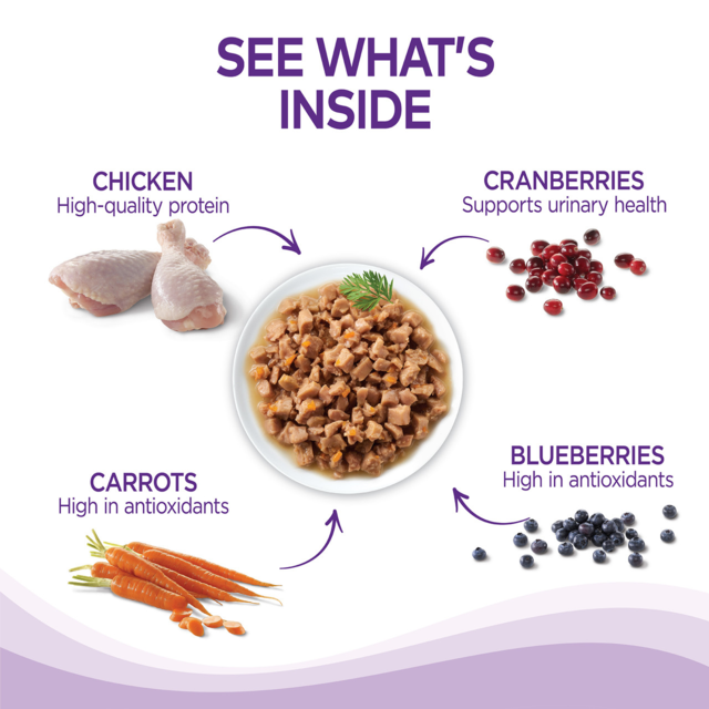 Wellness Healthy Indulgence Chicken & Turkey in Gravy Wet Cat Food - Product Image 1