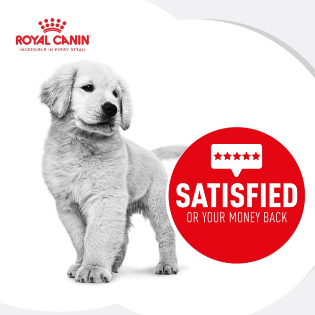 Royal Canin Mini Starter Mother & Babydog Food & Treats Bundle - Product Image 2
