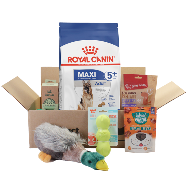 Royal Canin Large Breed 5+ Dog Everyday Pack - Product Image