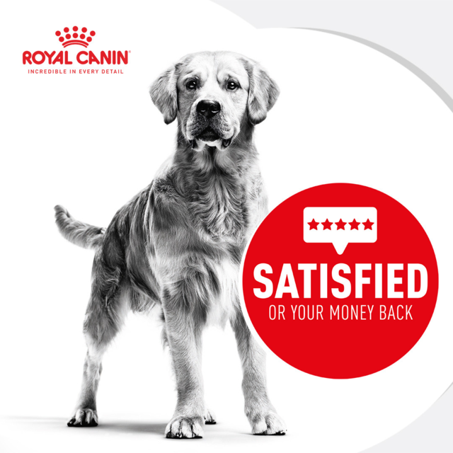 Royal Canin Large Breed 5+ Dog Everyday Pack - Product Image 1