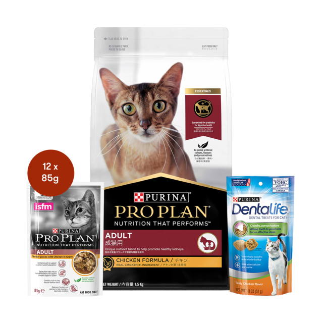 Pro Plan Adult Chicken Cat Food & Treats Bundle - Product Image