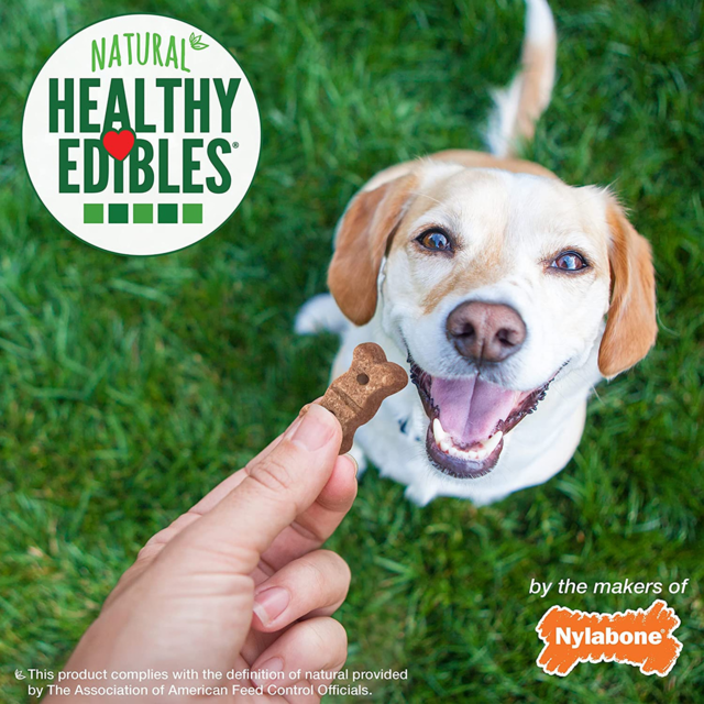 Nylabone Healthy Edibles Biscuits Salmon Dog Treats - Product Image 7