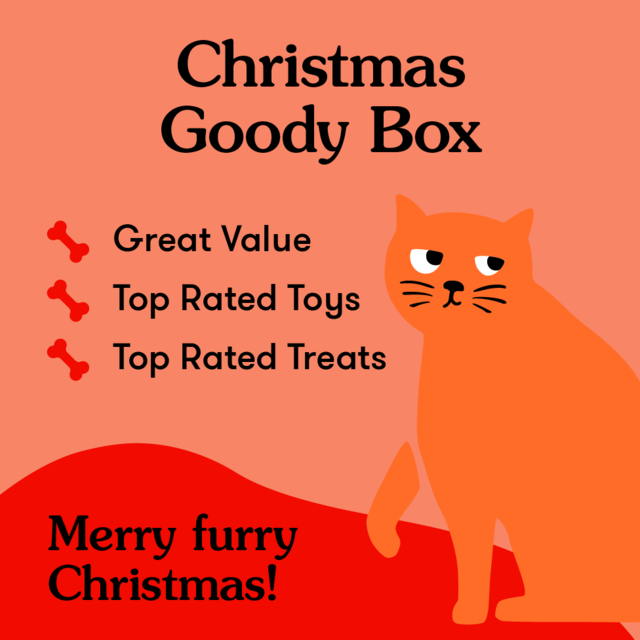 PetDirect Goody Box Christmas for Cats - Product Image 1