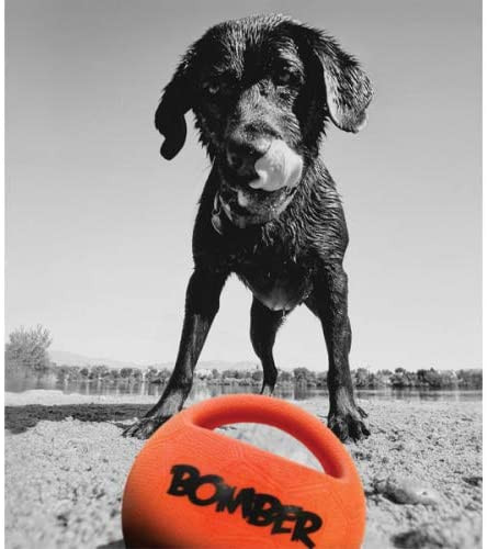 Zeus Bomber Ball with Squeaker Dog Toy - Product Image 2