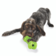 Planet Dog Orbee-Tuff Bone Dog Toy