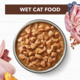 Ivory Coat Grain Free Chicken & Kangaroo in Gravy Adult Wet Cat Food