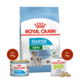 Royal Canin Mini Starter Mother & Babydog Food & Treats Bundle
